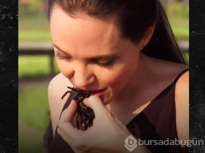 Angelina Jolie örümcek yedi, çocuklarına da yedirdi!