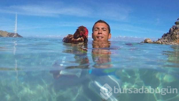 Sörf yapan tavuğuyla dünyayı dolaşıyor