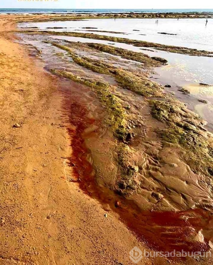 İtalya'daki 'Türk Merdivenleri' neden kırmızıya dönüyor?