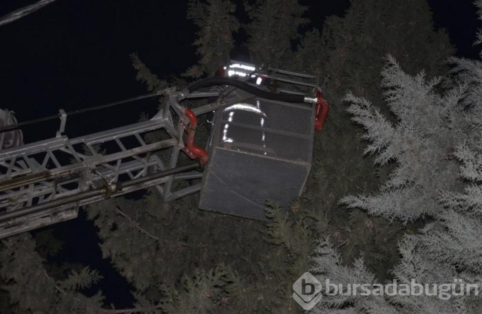Şehrin elektriğini kestiler, kediyi kurtardılar