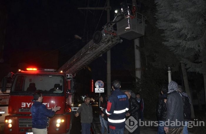 Şehrin elektriğini kestiler, kediyi kurtardılar