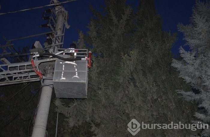 Şehrin elektriğini kestiler, kediyi kurtardılar