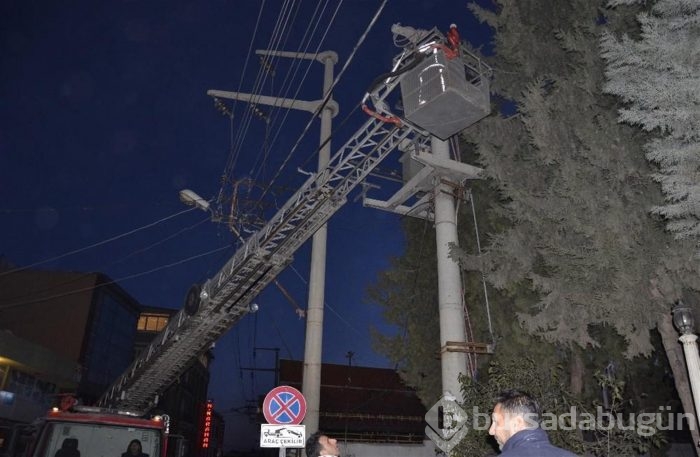 Şehrin elektriğini kestiler, kediyi kurtardılar