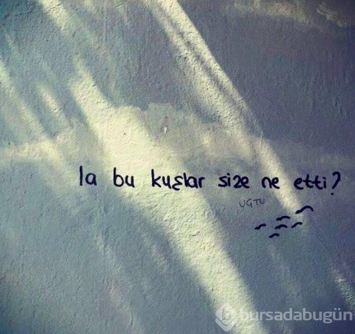 İşte en güzel duvar yazıları!