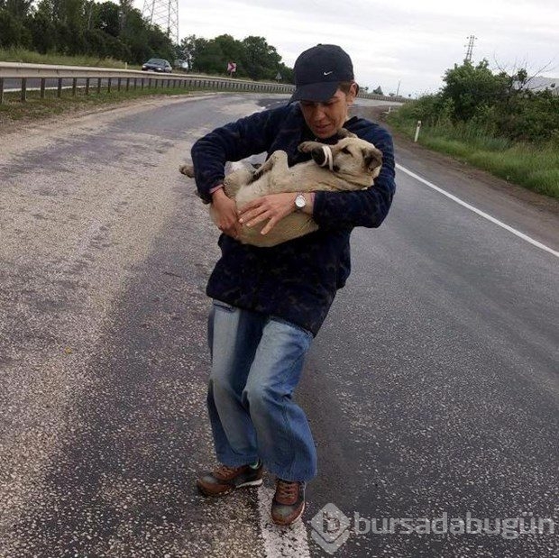 Tek başına 400 köpeğe bakıyor