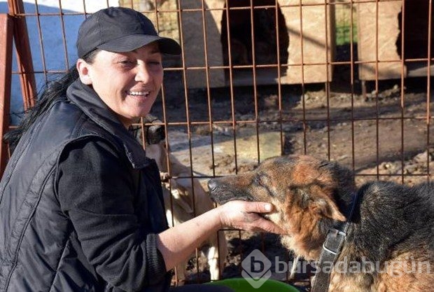 Tek başına 400 köpeğe bakıyor