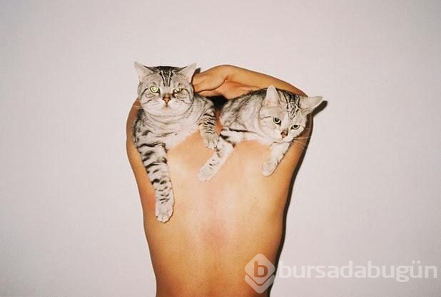 Tartışma yaratan Çinli fotoğraf sanatçısı Ren Hang hayatını kaybetti