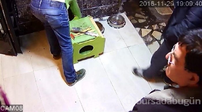 Hayvanseverler, veterinere savaş açtı