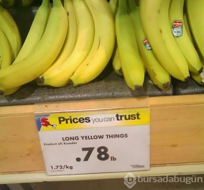 Görevini ciddiye almayanlardan trajikomik eserler!