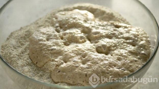 Severek yediğimiz yiyecekleri bu mikroplar yapıyor