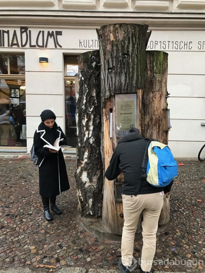 Berlin sokaklarında ağaçtan kütüphane!