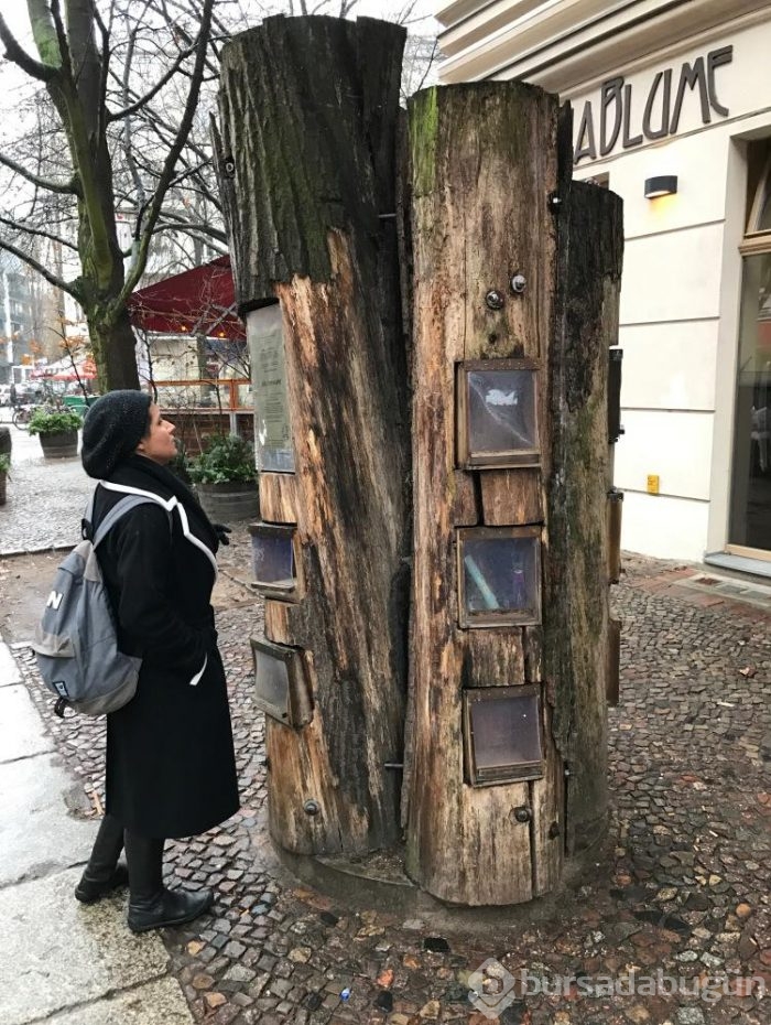 Berlin sokaklarında ağaçtan kütüphane!