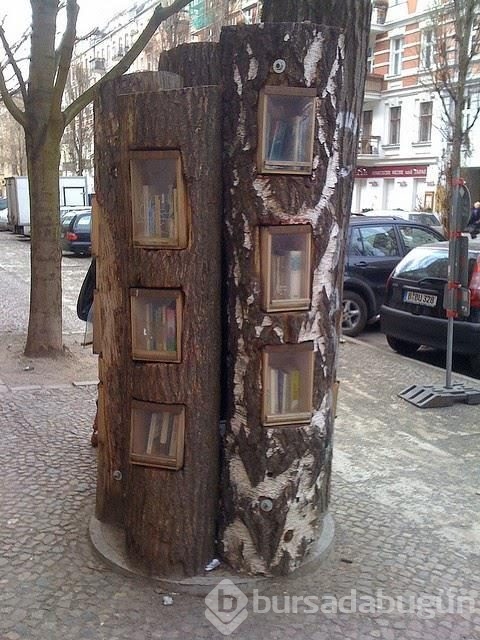 Berlin sokaklarında ağaçtan kütüphane!
