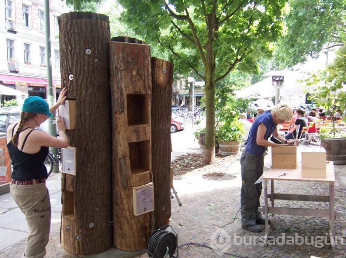 Berlin sokaklarında ağaçtan kütüphane!