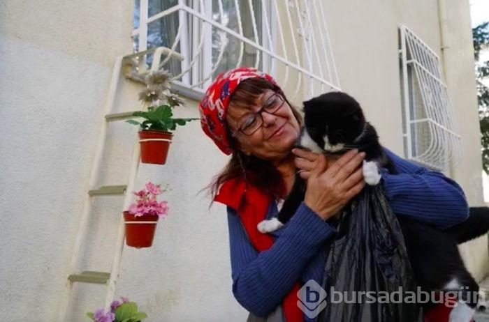 Sokak kedilerine merdiven uzattı...
