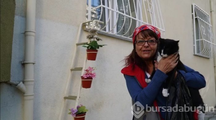 Sokak kedilerine merdiven uzattı...
