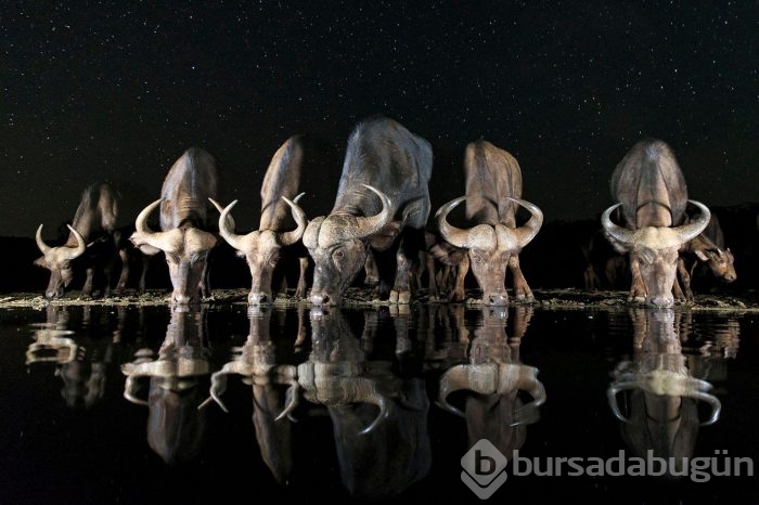 İşte yarışan ve beğenilen fotoğraflar