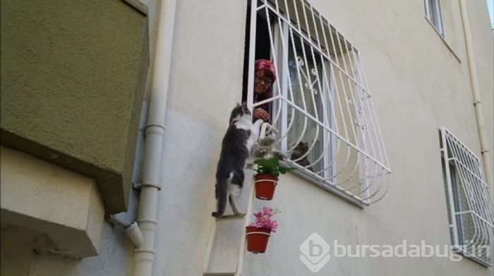 İşte yarışan ve beğenilen fotoğraflar