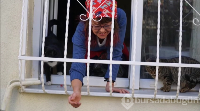 İşte yarışan ve beğenilen fotoğraflar
