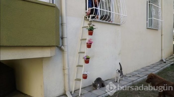 İşte yarışan ve beğenilen fotoğraflar