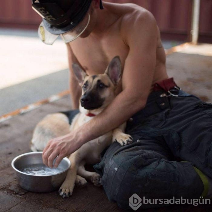 Fotoğraf çekiminde tanıştığı köpeği evlatlık edindi