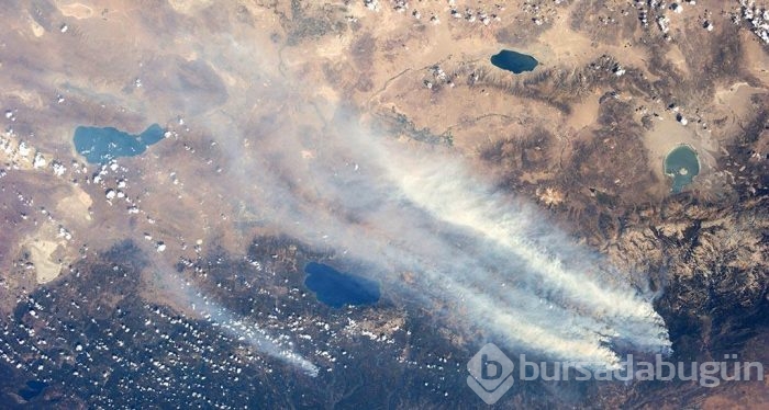 Dünyadaki en eski canlının fosili bulundu!