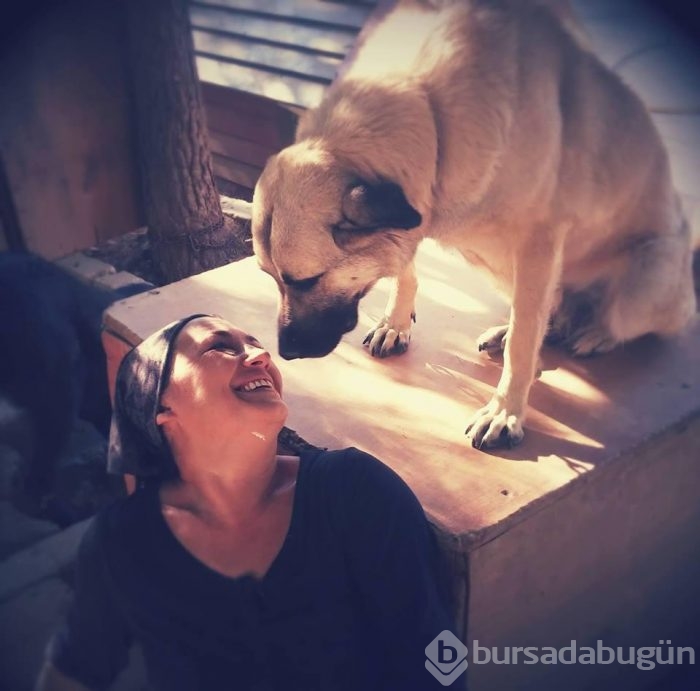 Engelli köpeklerin yaşadığı barınak yardımlarınızı bekliyor