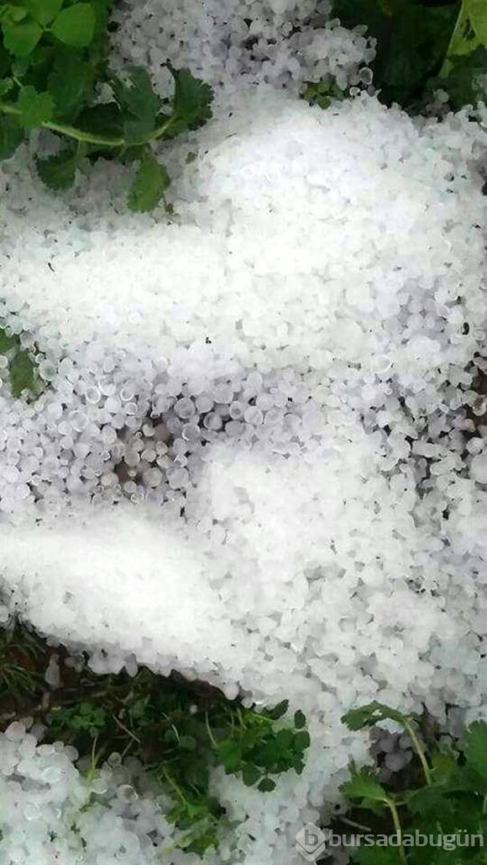 Antalya Serik'te hortum paniği yaşandı