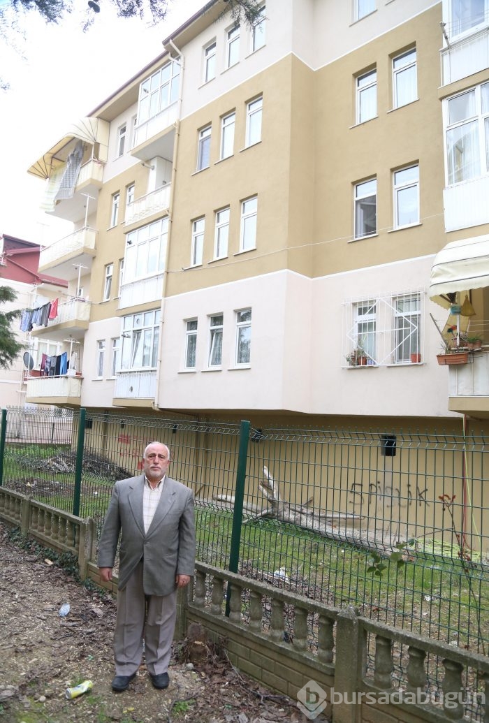 15 meyve ağacını kesince...