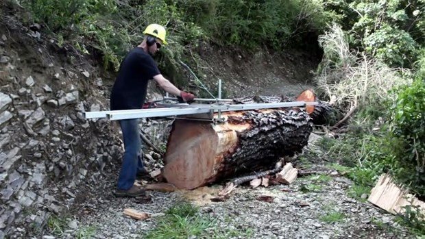 Bakın ağaçtan ne yaptı