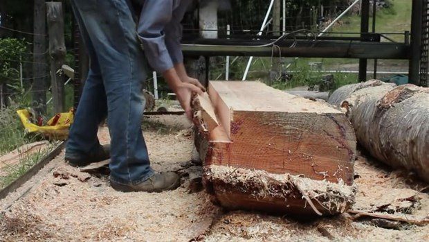 Bakın ağaçtan ne yaptı