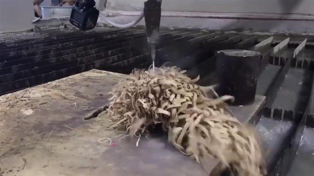 Bakın ağaçtan ne yaptı