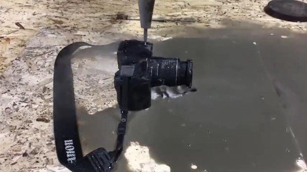 Bakın ağaçtan ne yaptı