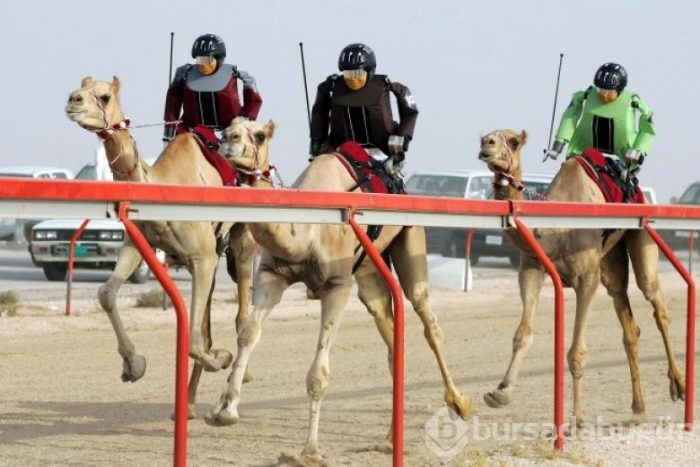 Sadece Dubai'de görebileceğiniz garip şeyler