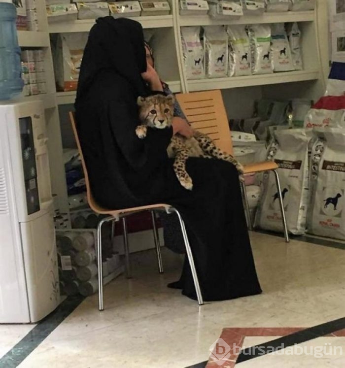 Sadece Dubai'de görebileceğiniz garip şeyler