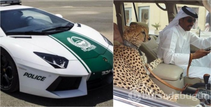 Sadece Dubai'de görebileceğiniz garip şeyler