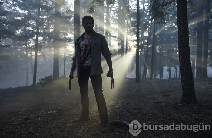 Logan