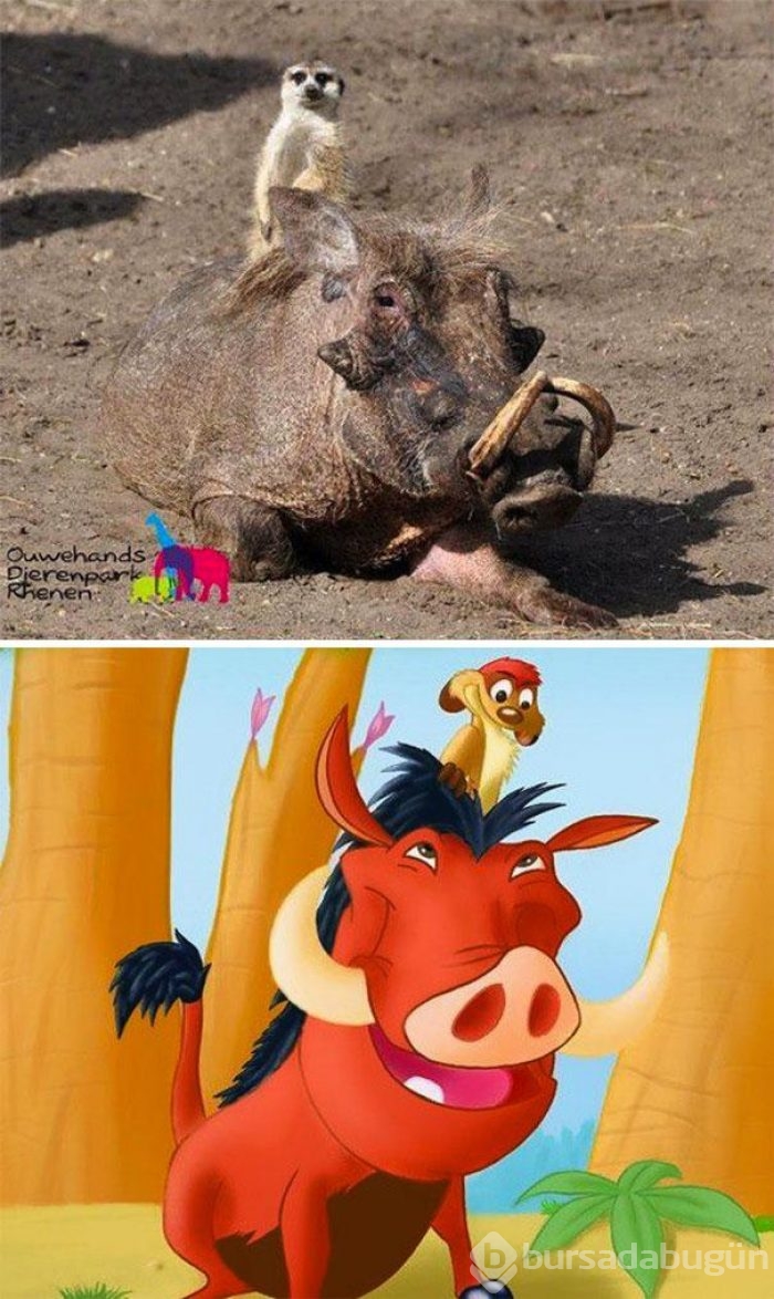 Dünyanın en garip tesadüfleri