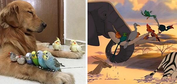 Dünyanın en garip tesadüfleri
