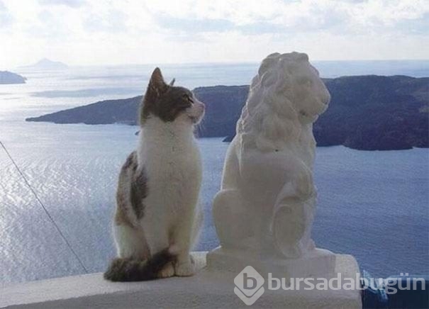 Dünyanın en garip tesadüfleri