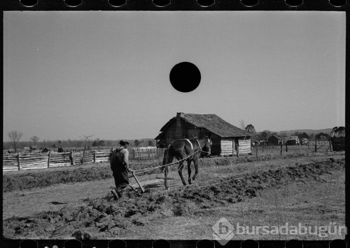Bu fotoğraflar 1930'larda 'öldürüldü'