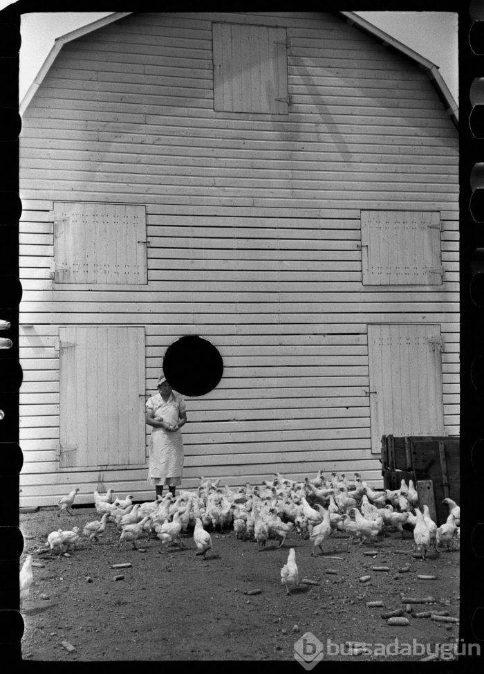 Bu fotoğraflar 1930'larda 'öldürüldü'