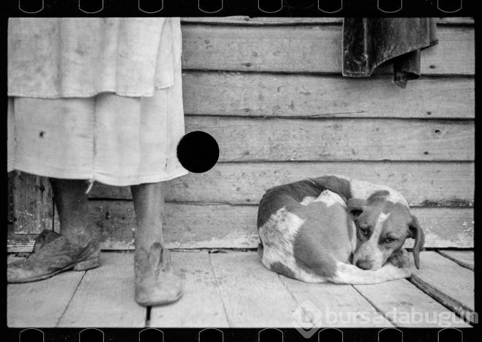Bu fotoğraflar 1930'larda 'öldürüldü'