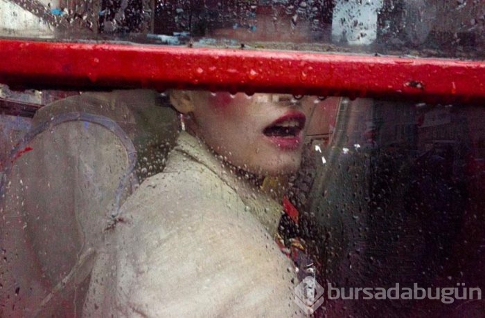 Smithsonian Fotoğraf Ödülleri'nin finalistleri açıklandı