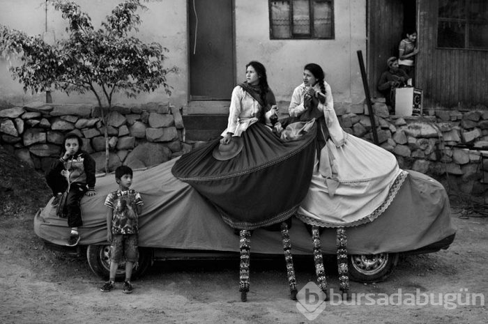 Smithsonian Fotoğraf Ödülleri'nin finalistleri açıklandı