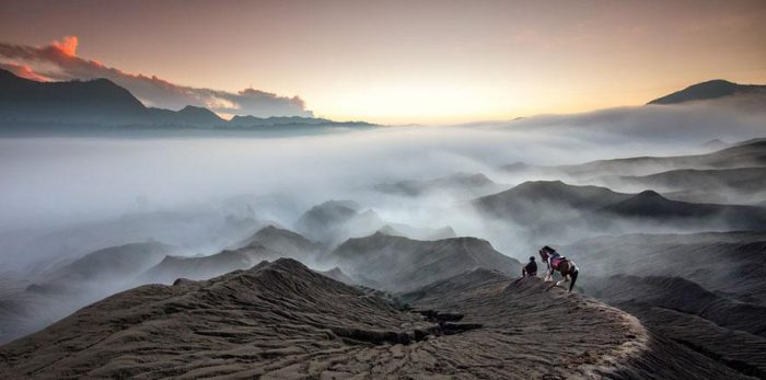 Smithsonian Fotoğraf Ödülleri'nin finalistleri açıklandı