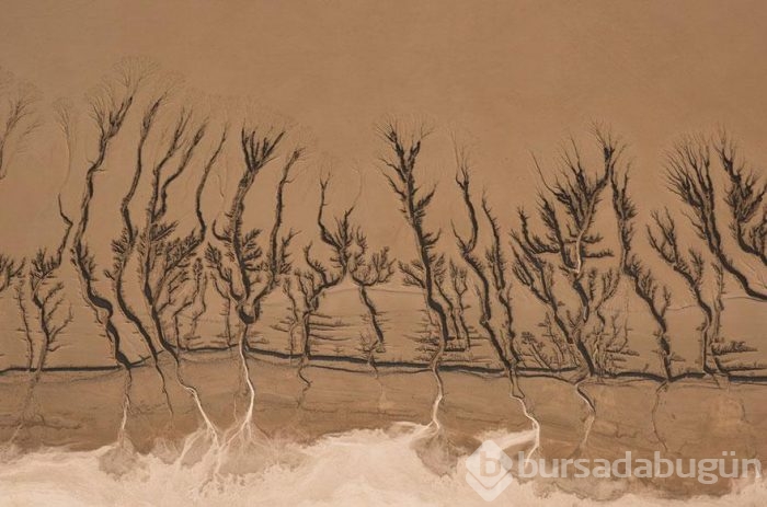 Smithsonian Fotoğraf Ödülleri'nin finalistleri açıklandı