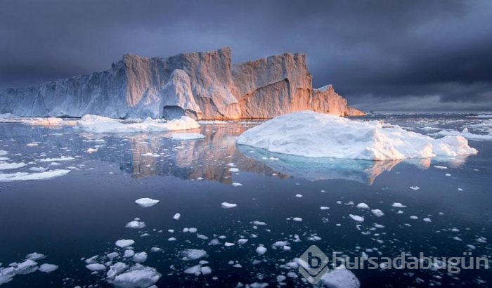 Smithsonian Fotoğraf Ödülleri'nin finalistleri açıklandı