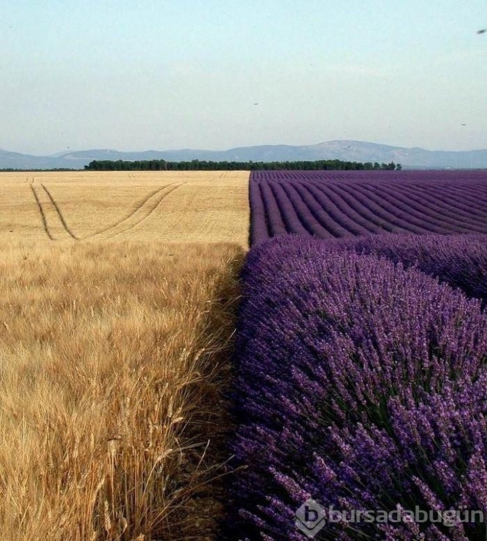 Doğadan büyüleyici güzellikte fotoğraflar