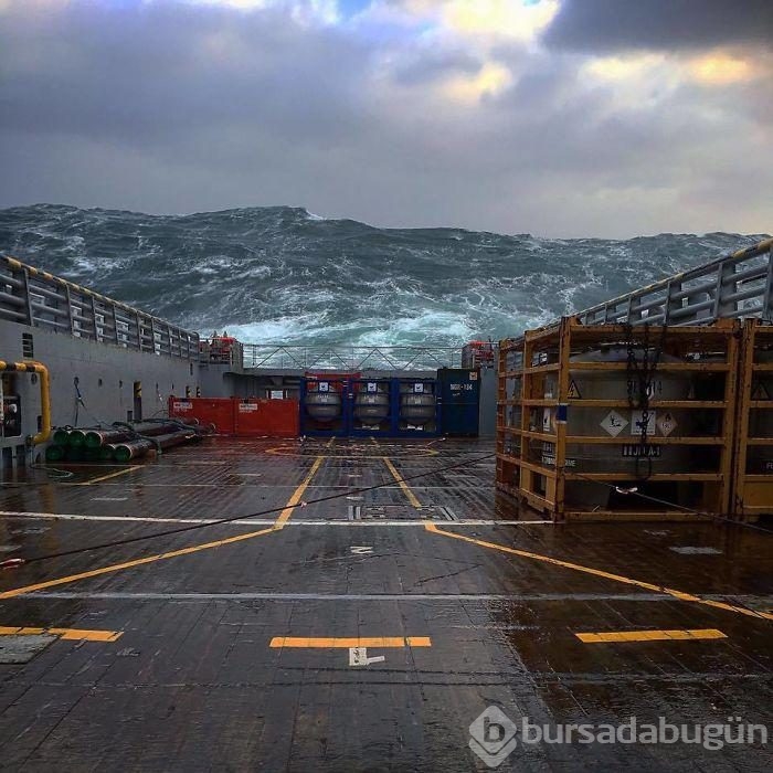 Doğadan büyüleyici güzellikte fotoğraflar